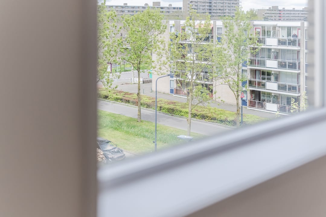 Foto 23 van Groenedijk 171