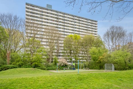 Menno ter Braaklaan thumbnail