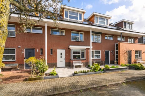 Figarolaan thumbnail