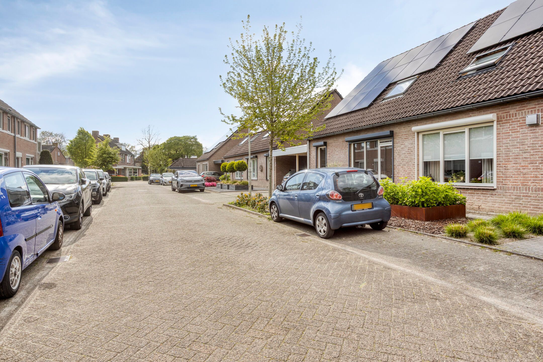 Photo 6 of de Donk 8