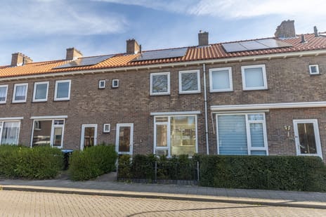 Jan Walichszstraat thumbnail