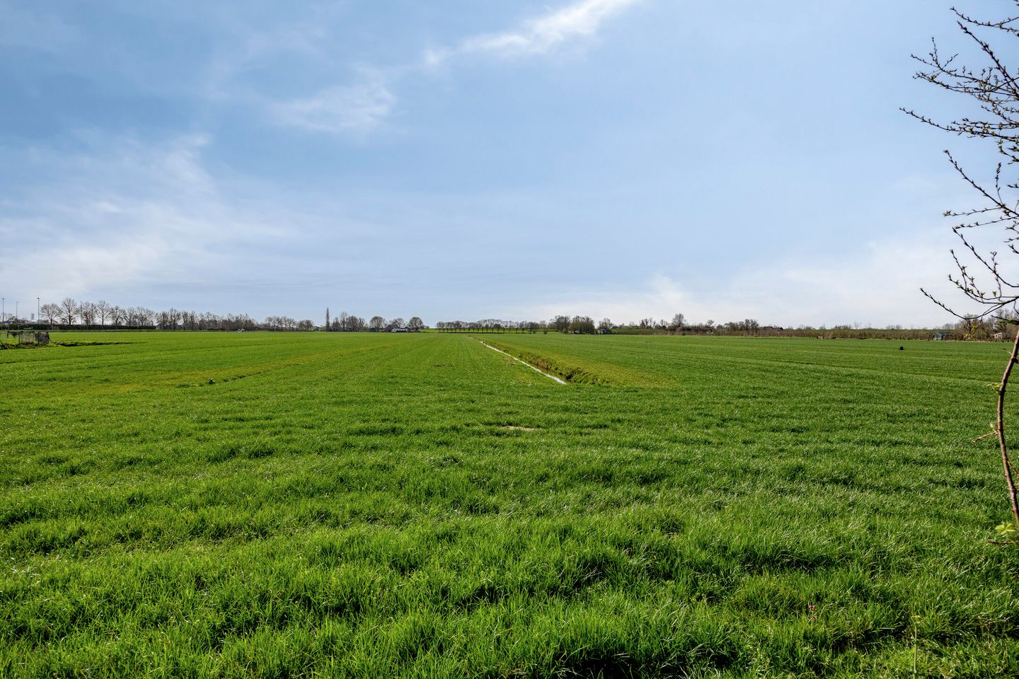 Foto 35 van Burgemeester Schumanlaan 24