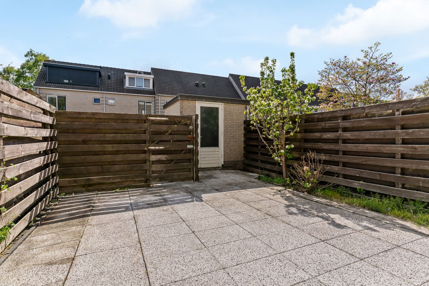 Photo 19 of Kuifmees 51