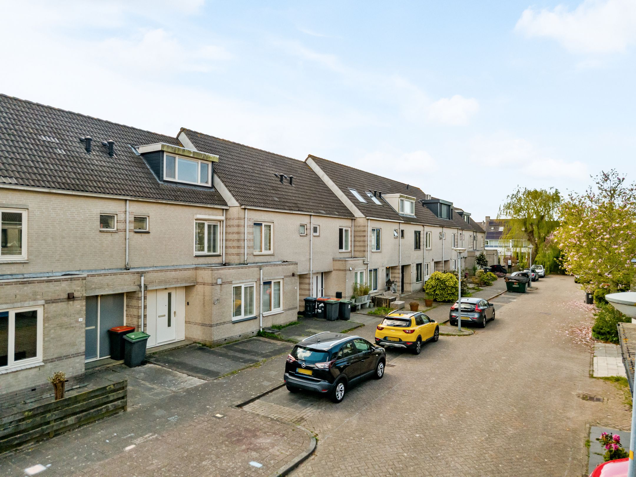 Photo 24 of Kuifmees 51