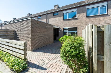 Slechtvalk thumbnail