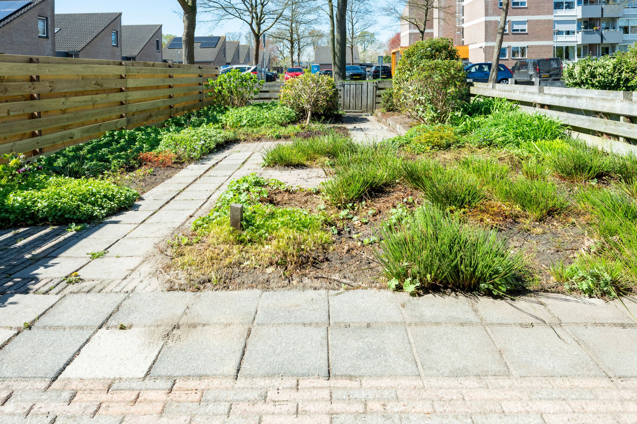 Foto 24 van Slechtvalk 73