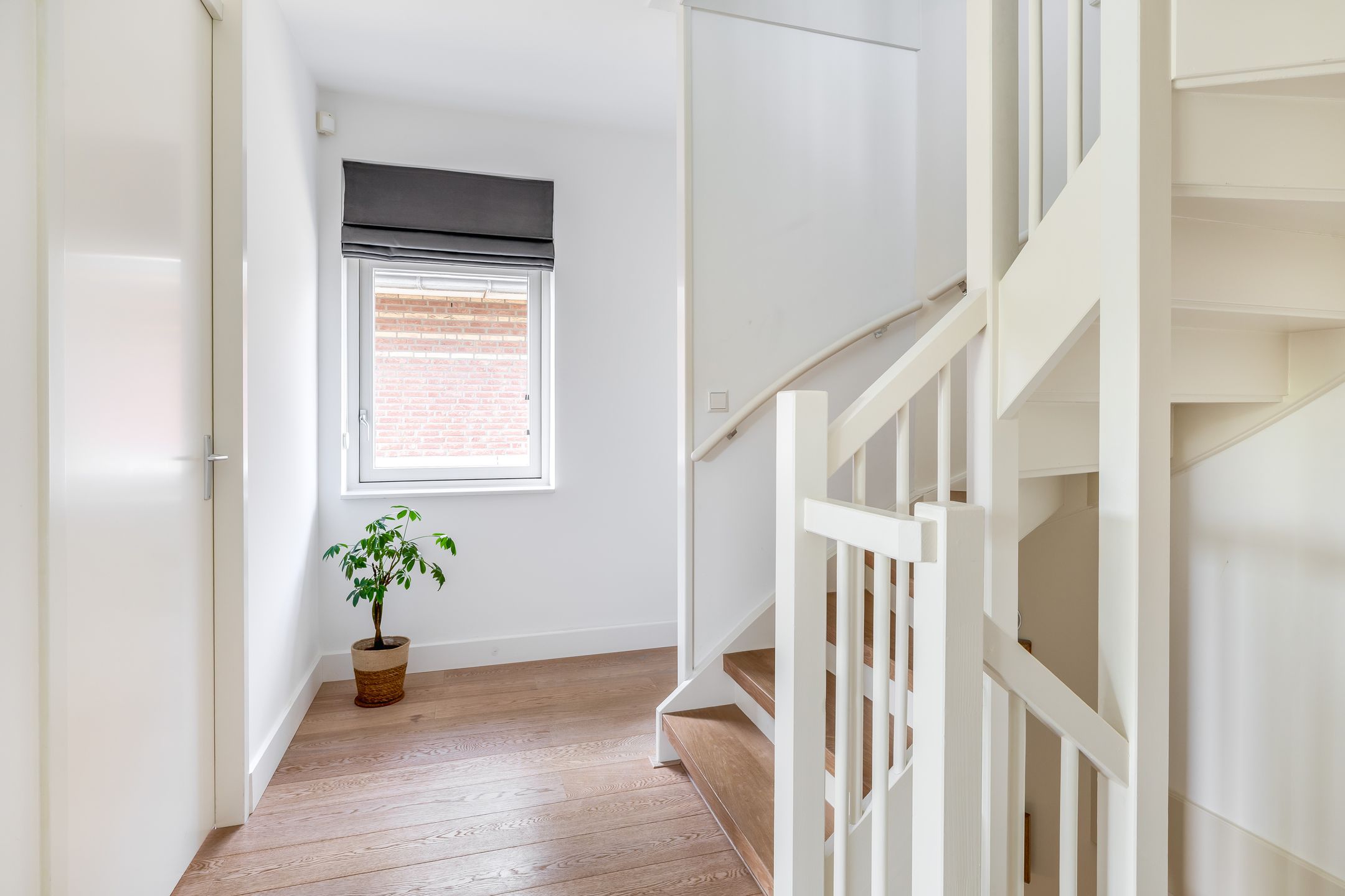 Foto 33 van Laan van Magisch Realisme 1