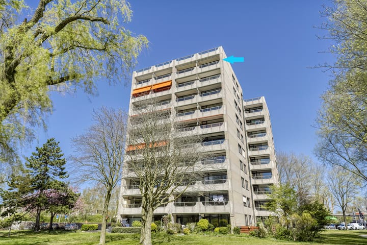 Foto 4 van Piet Heinlaan 83