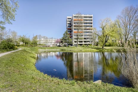 Piet Heinlaan thumbnail