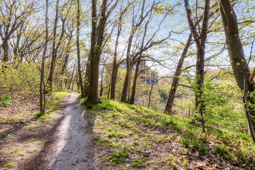 Foto 37 van Landkaartje 235