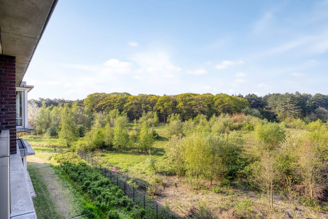 Foto 22 van Landkaartje 235