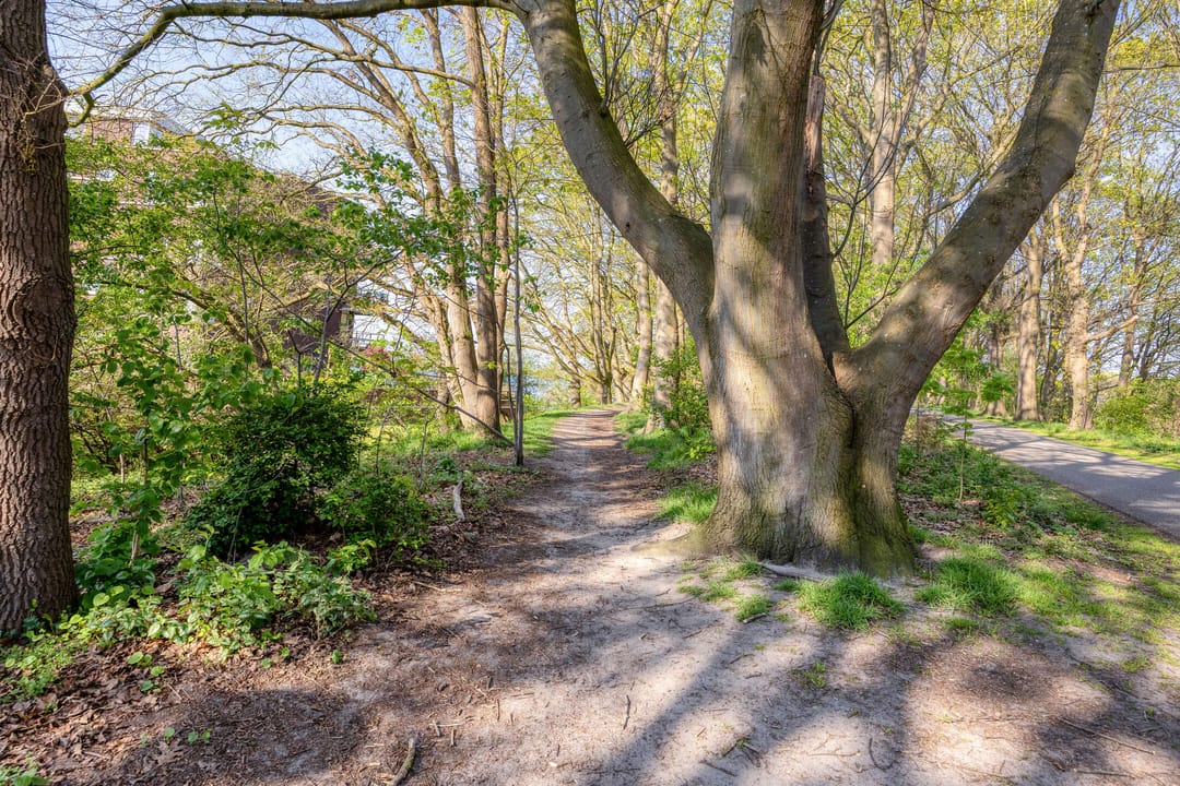 Foto 38 van Landkaartje 235