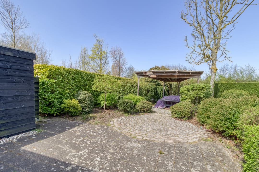 Foto 2 van Liguster 77