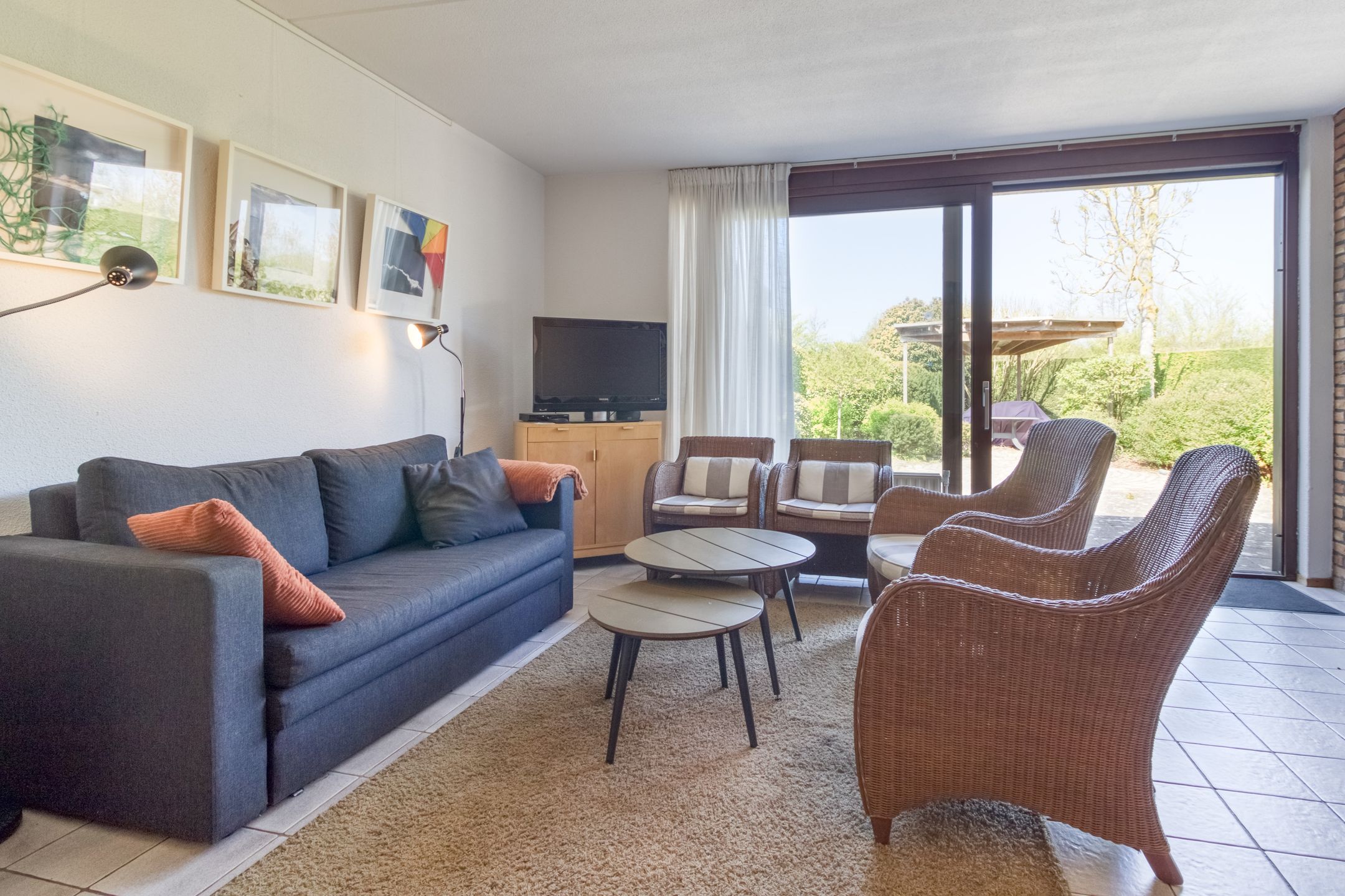 Foto 6 van Liguster 77