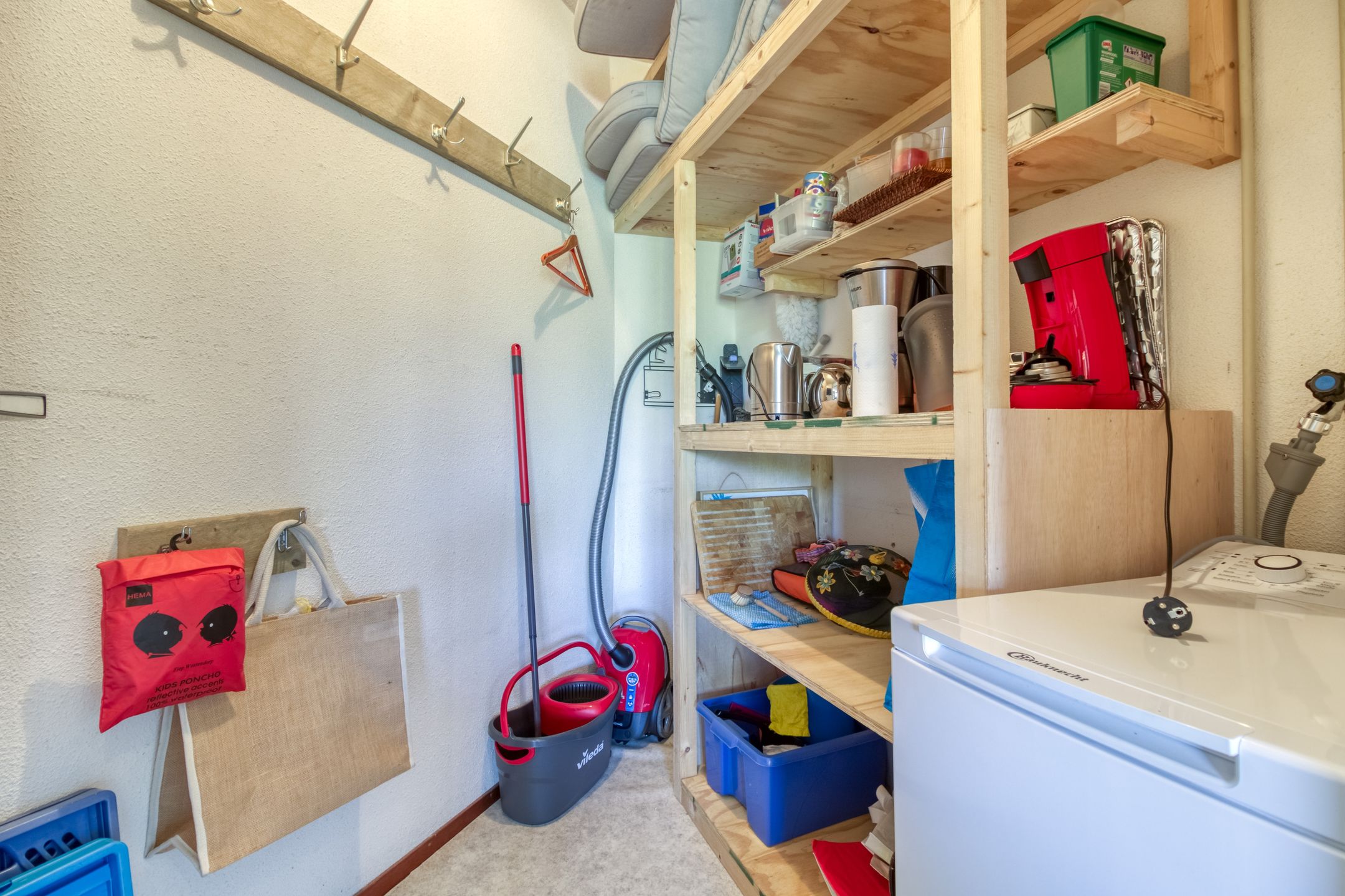 Foto 12 van Liguster 77