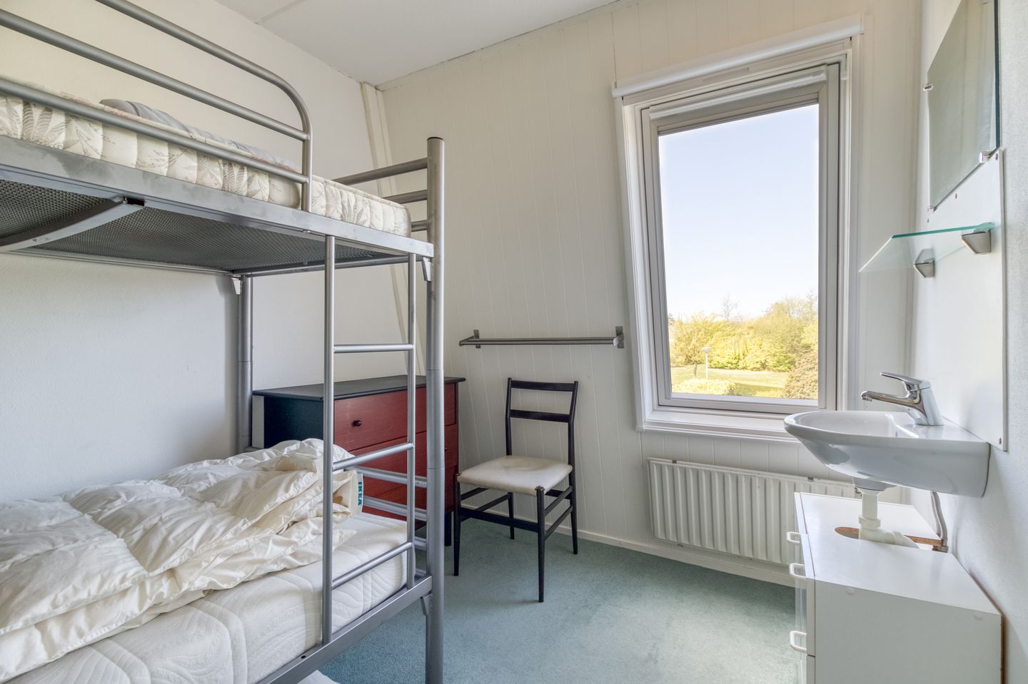 Foto 19 van Liguster 77