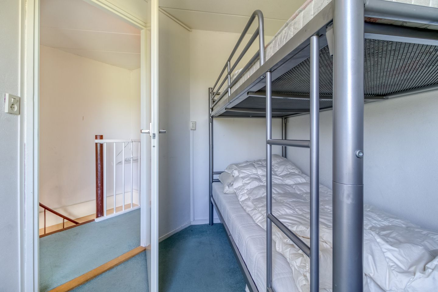 Foto 20 van Liguster 77