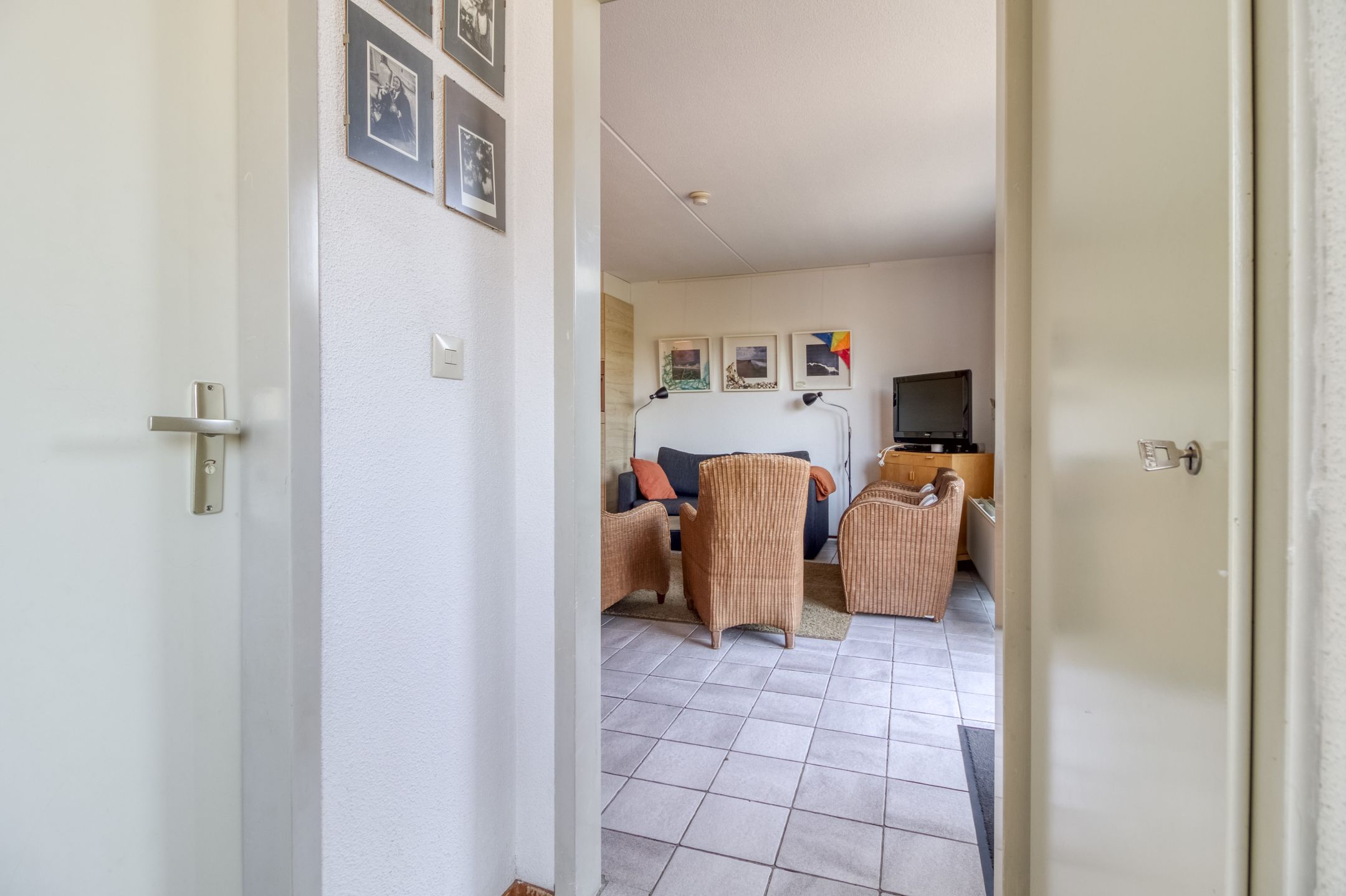 Foto 3 van Liguster 77