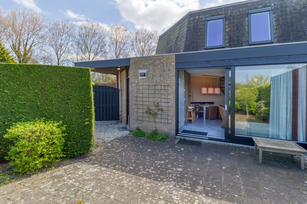 Foto 23 van Liguster 77