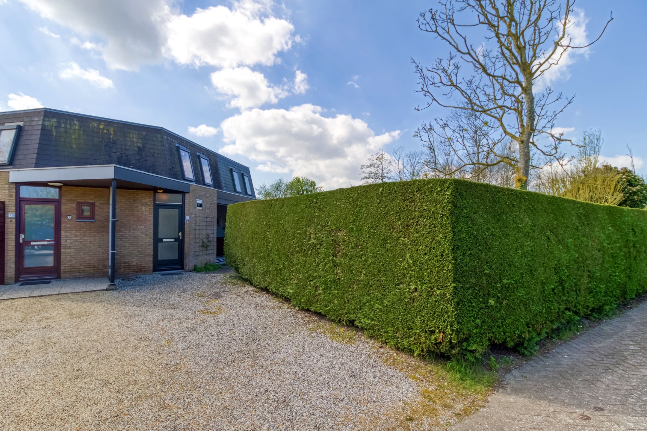 Foto 24 van Liguster 77