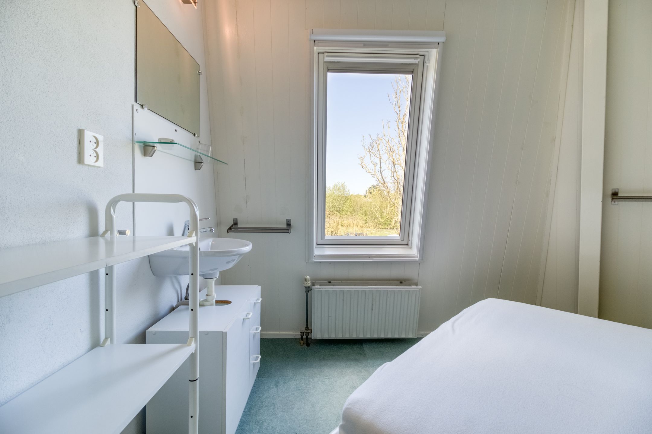 Foto 18 van Liguster 77