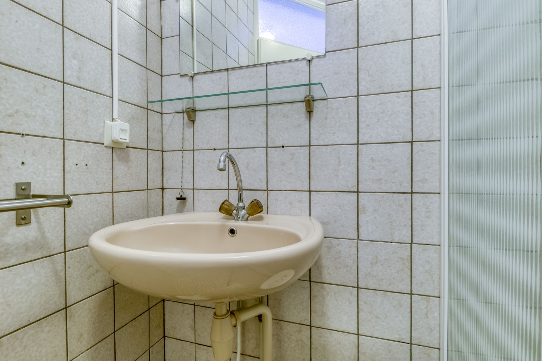 Foto 15 van Liguster 77