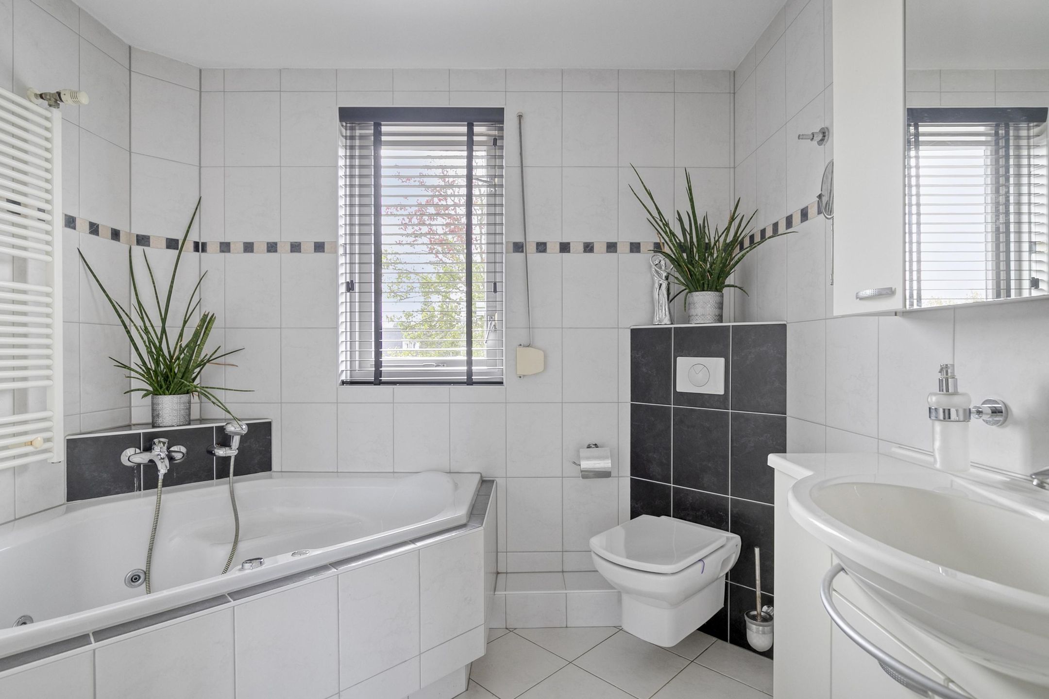 Photo 24 of Bezemerland 12