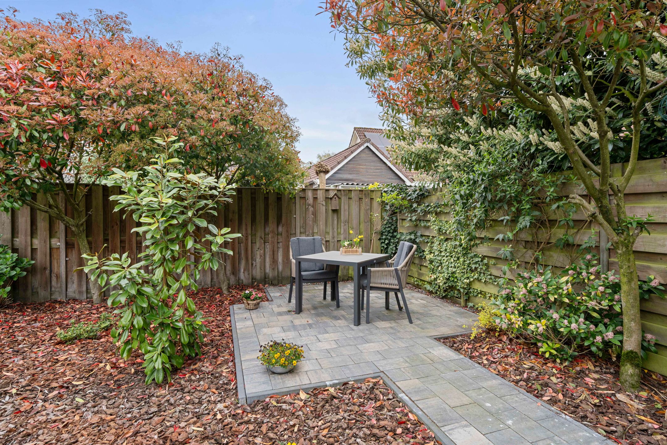 Foto 18 van Lichtenbeek 35