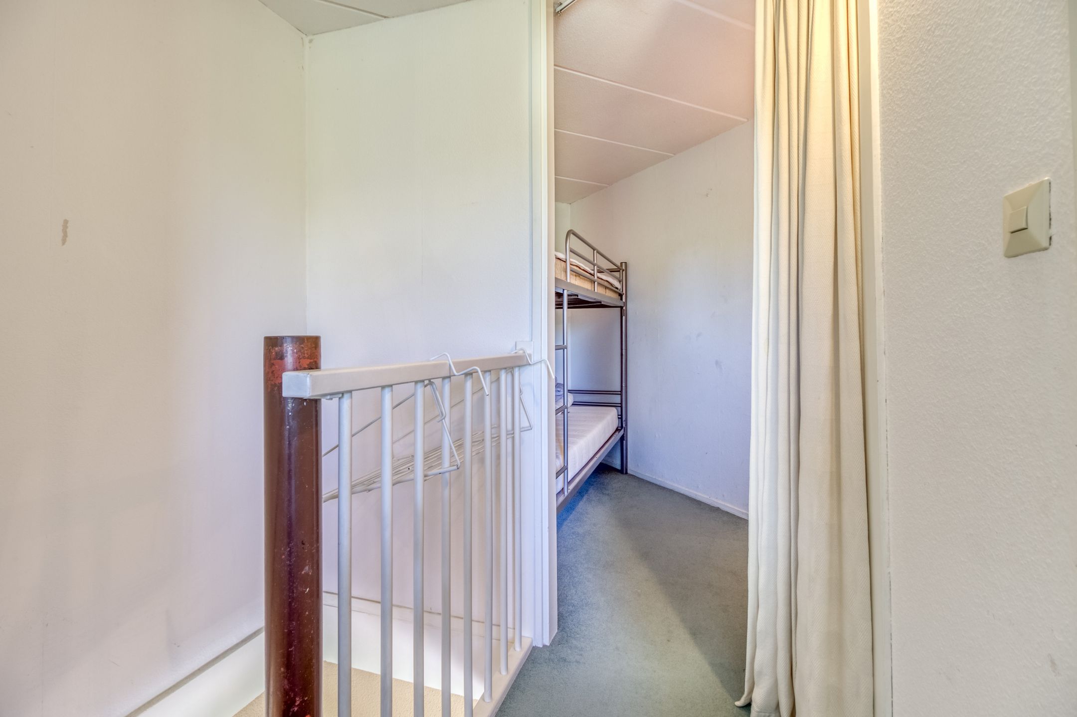 Foto 21 van Liguster 77