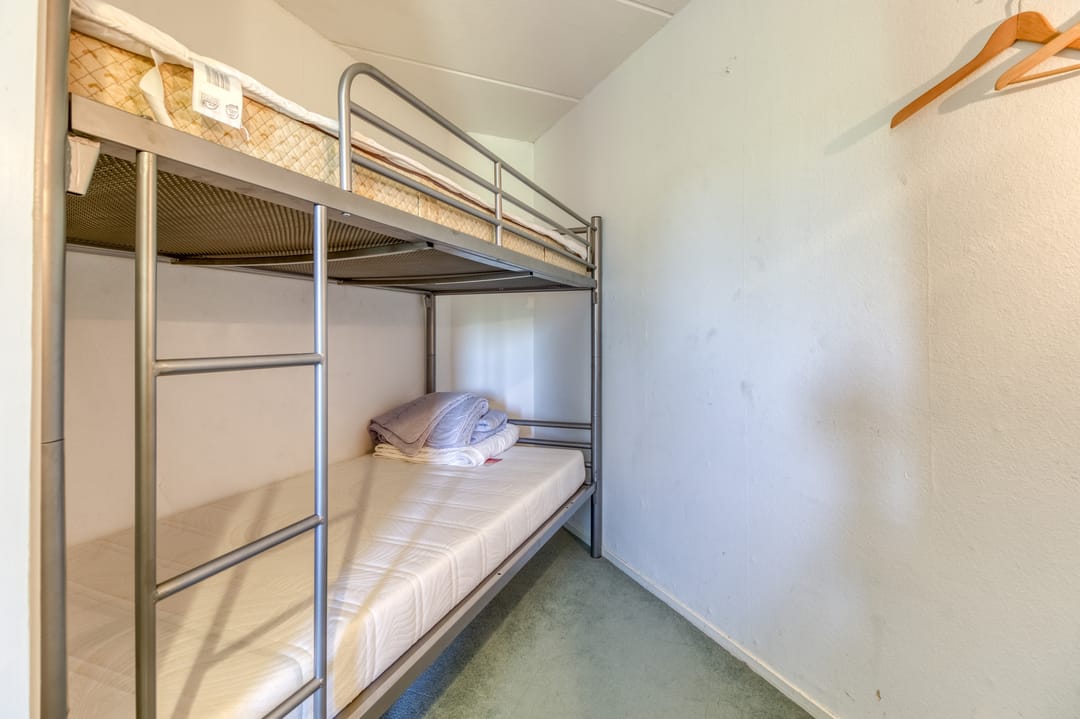 Foto 22 van Liguster 77