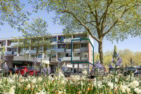 Jan Frankenstraat thumbnail