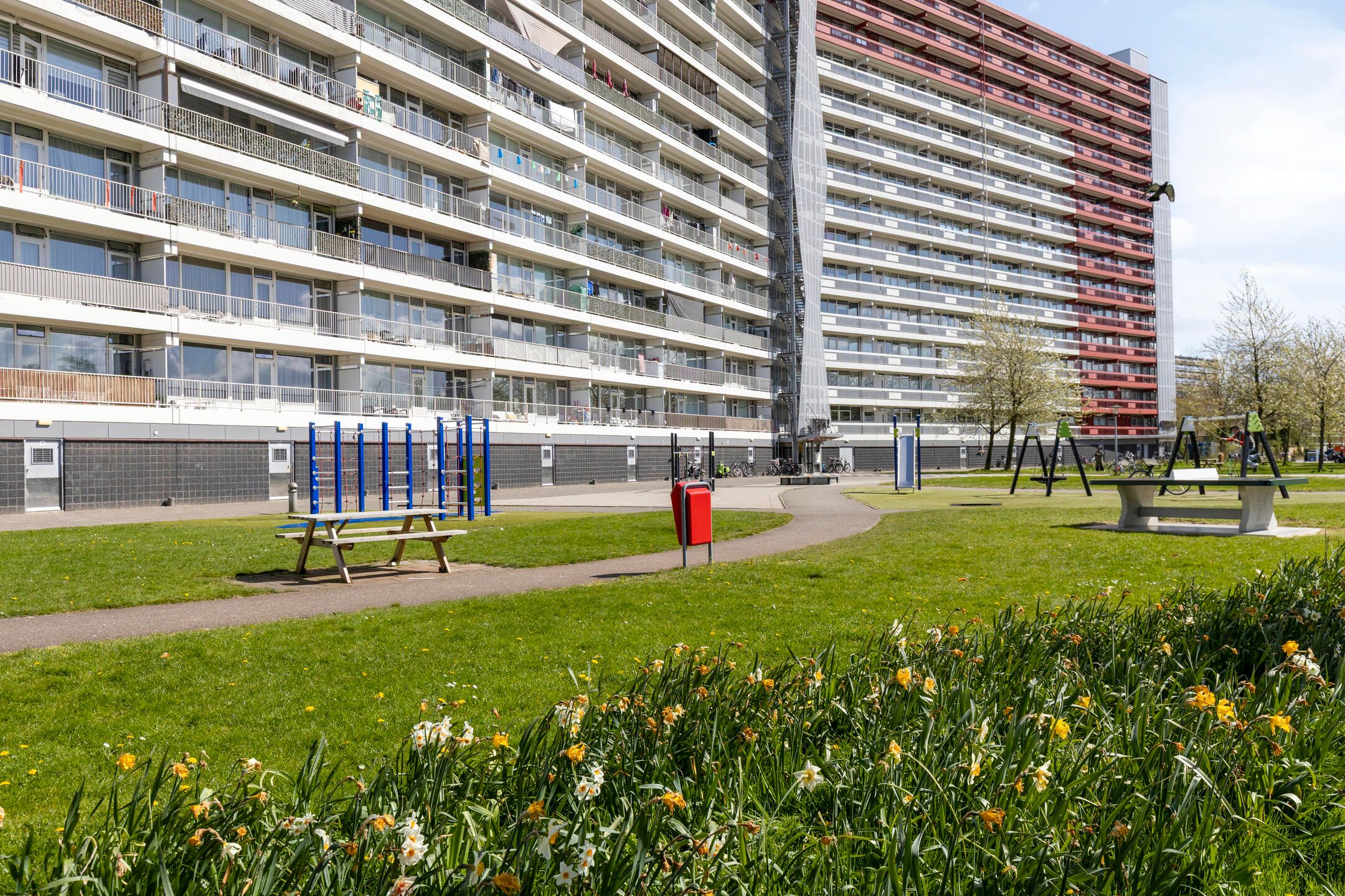 Foto 30 van Rode Zee 20