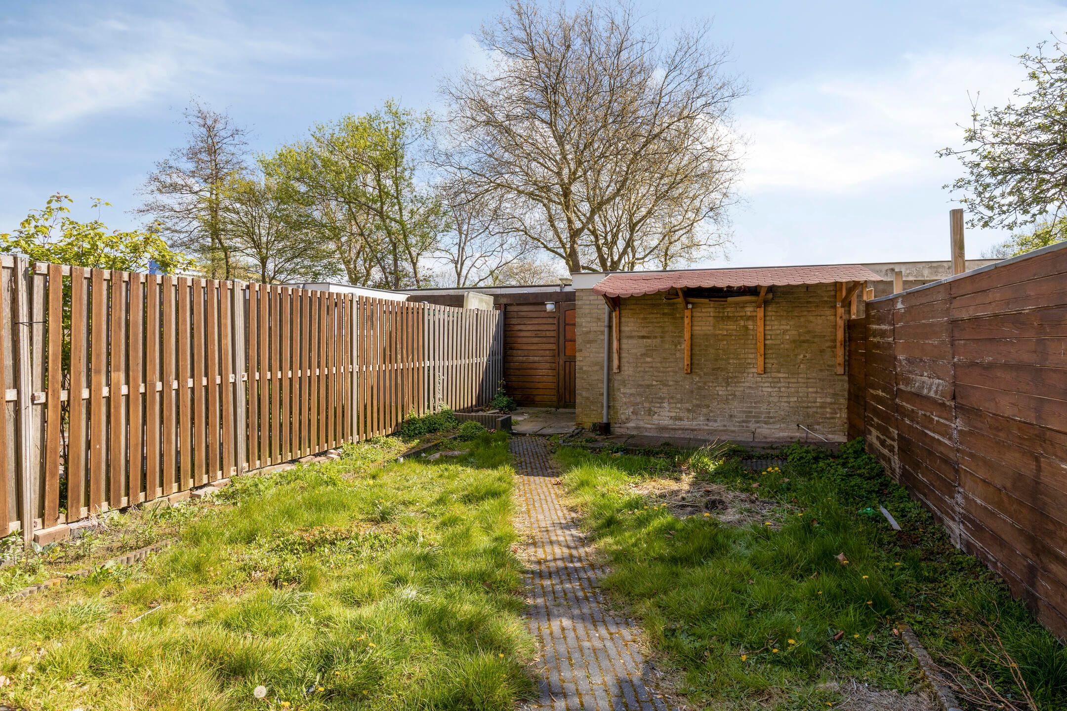 Foto 24 van Rode Zee 20