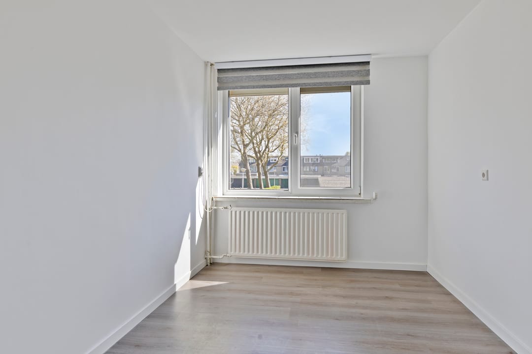 Foto 17 van Rode Zee 20