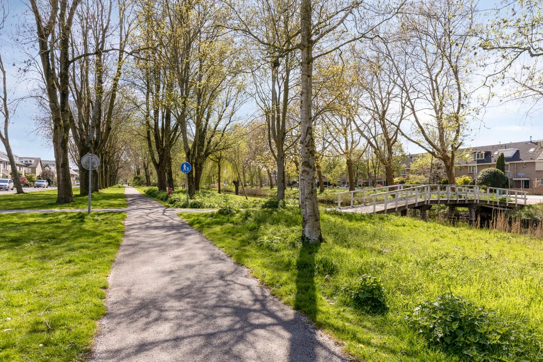 Foto 28 van Rode Zee 20