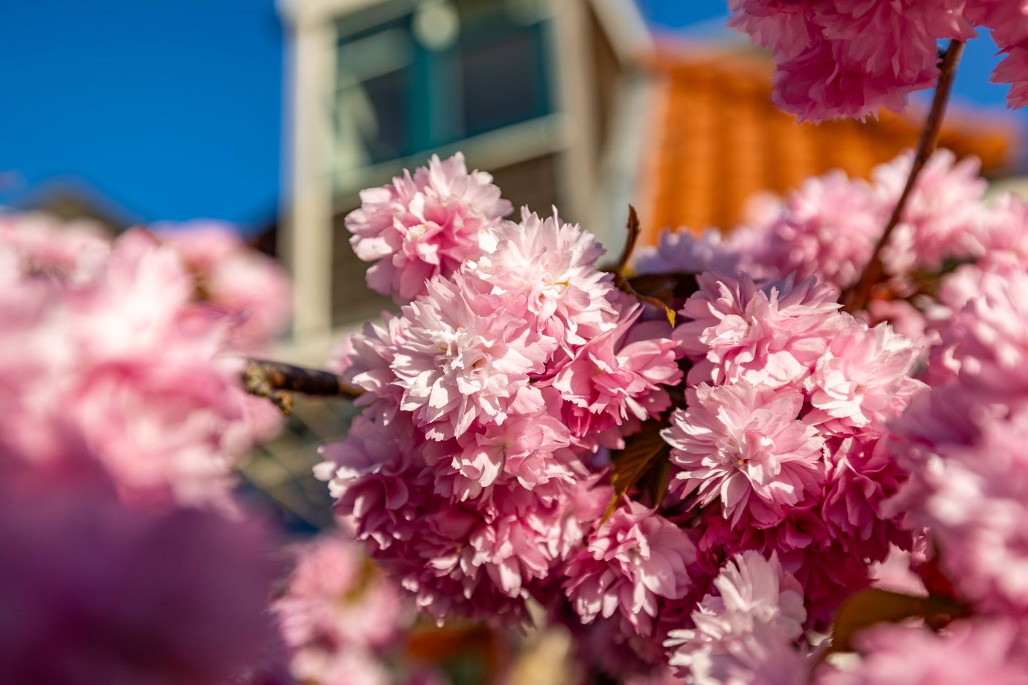 Foto 34 van Baanstraat 34