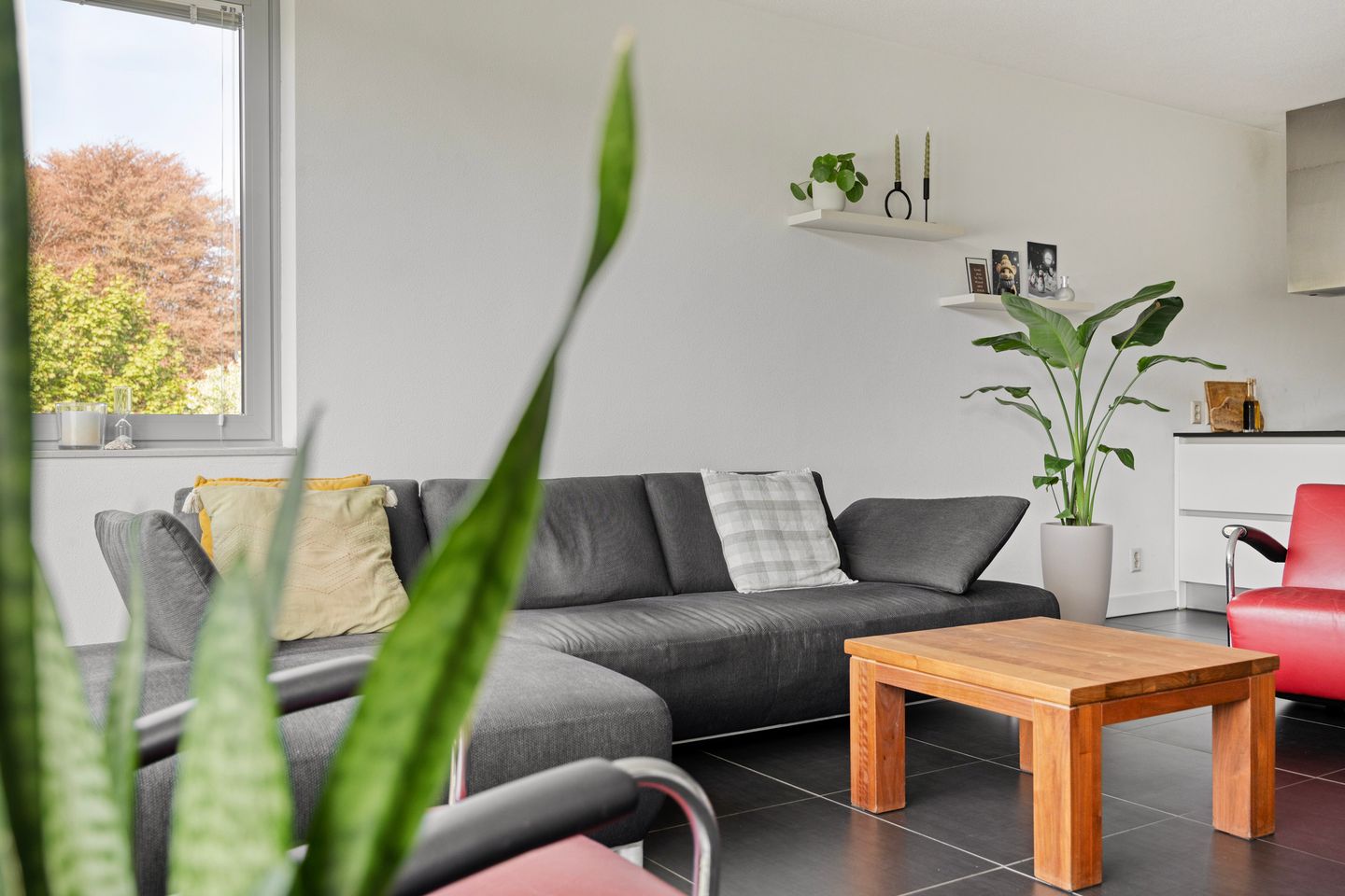 Foto 10 van Sporenring 274-12