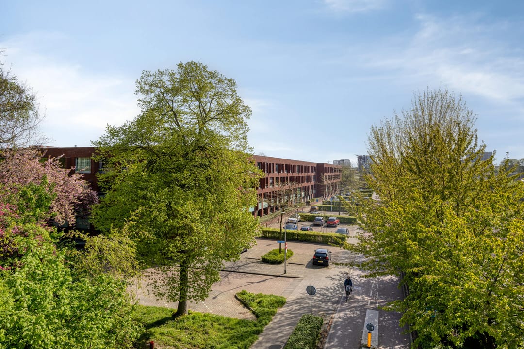 Foto 38 van Alleenhouderstraat 115-45