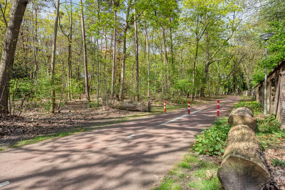 Foto 38 van Sporenring 274-12