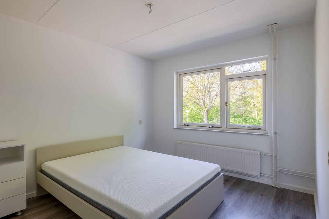 Photo 11 of Kleine Tom 13