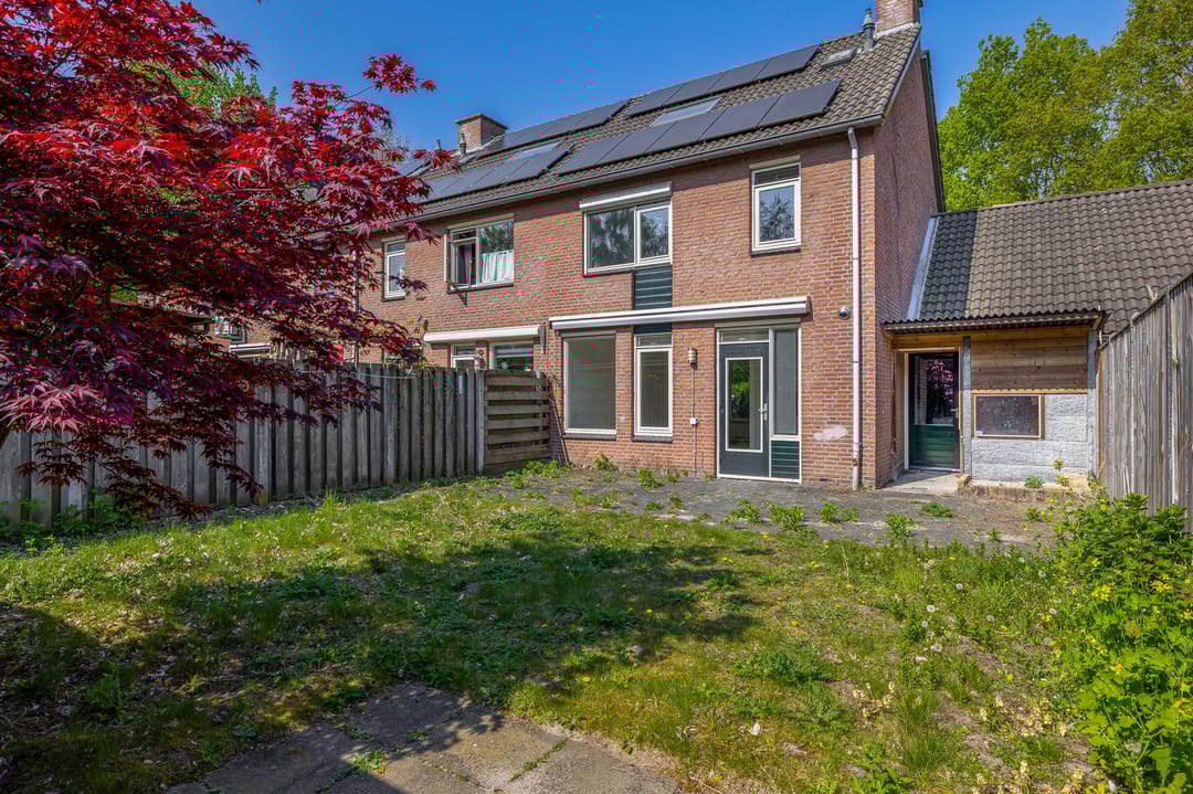 Photo 17 of Kleine Tom 13