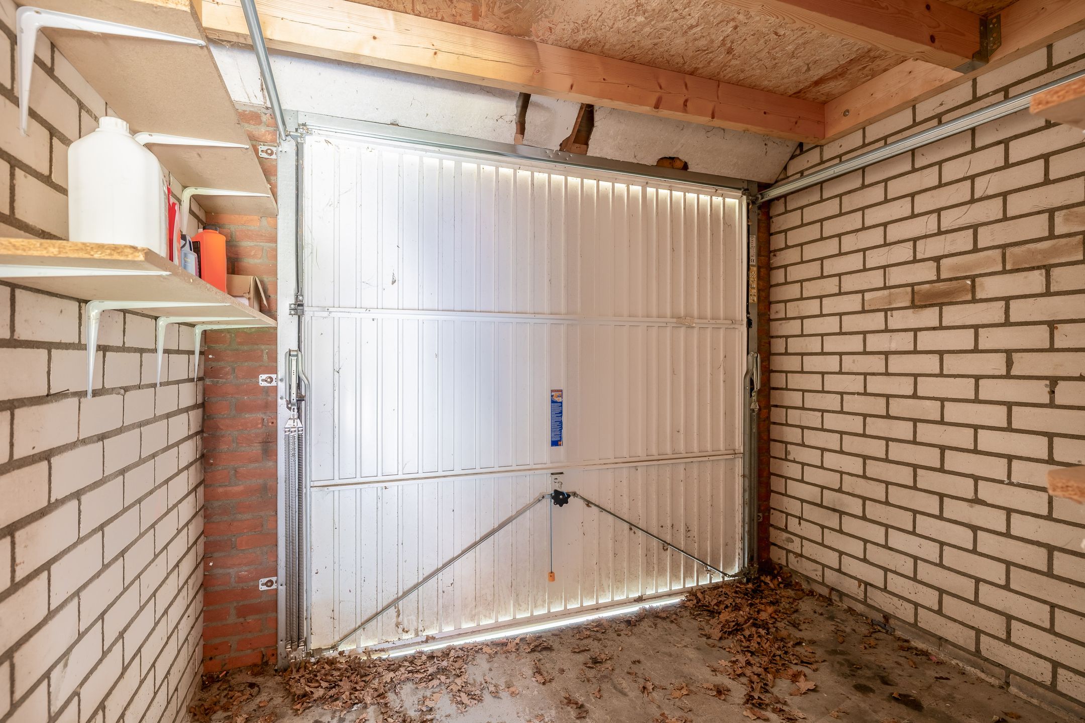 Photo 21 of Kleine Tom 13