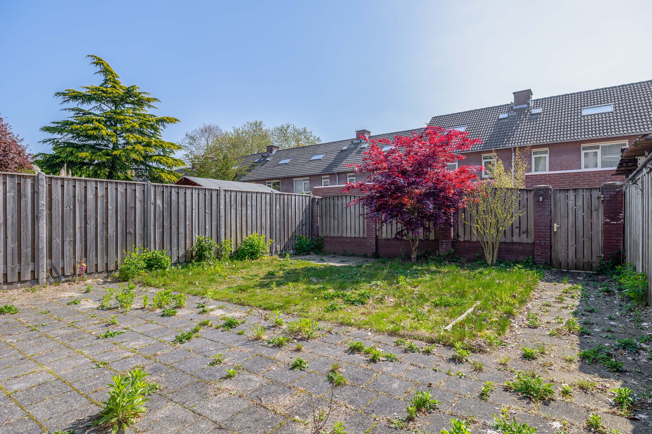 Photo 18 of Kleine Tom 13