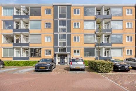 Fazantstraat thumbnail