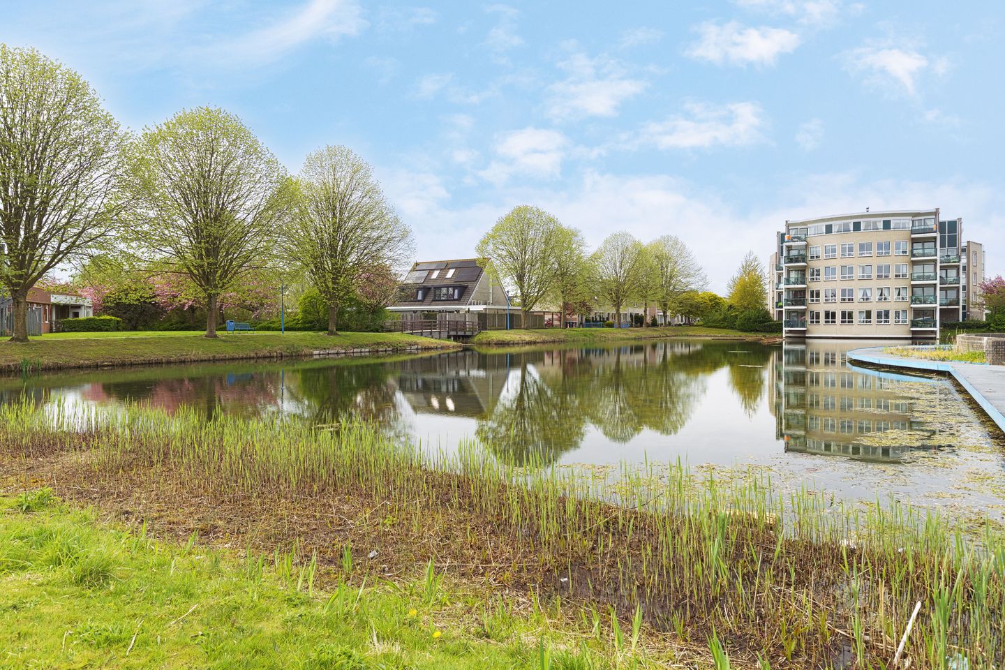 Foto 5 van Zeemanstraat 92