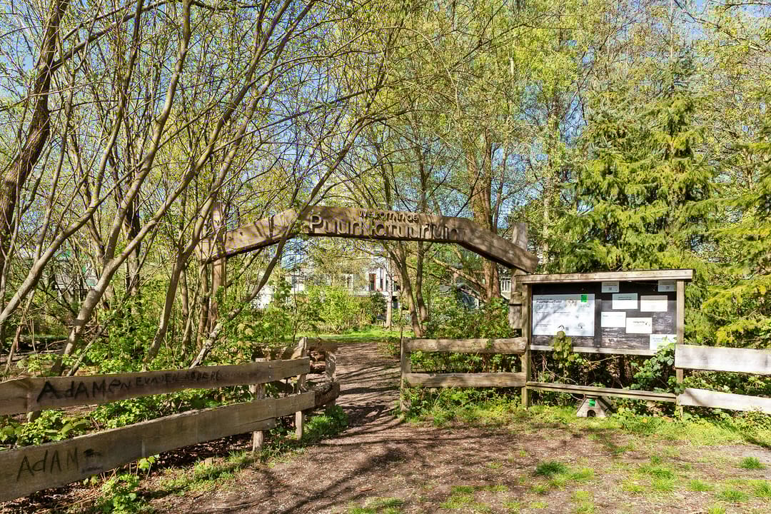 Foto 23 van Kometensingel 69