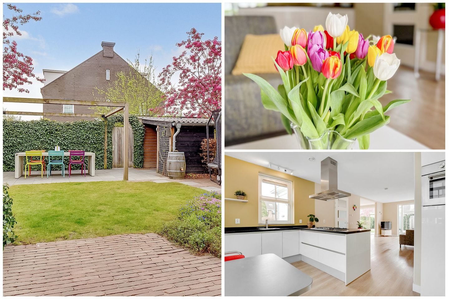 Photo 14 of De Vroonhof 1