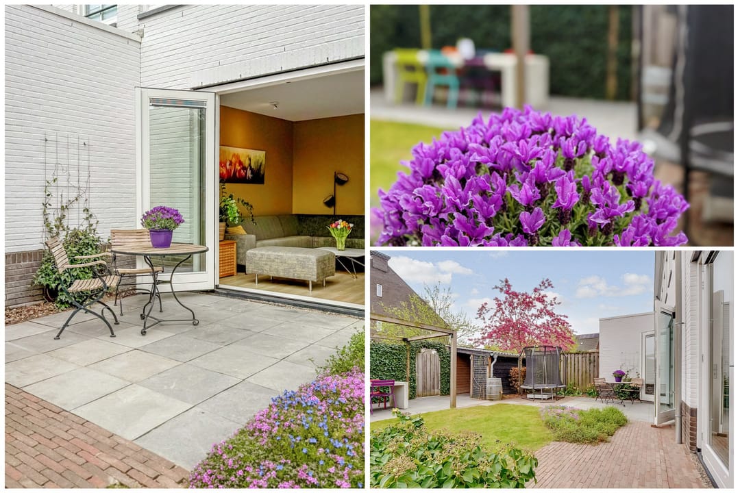 Photo 47 of De Vroonhof 1