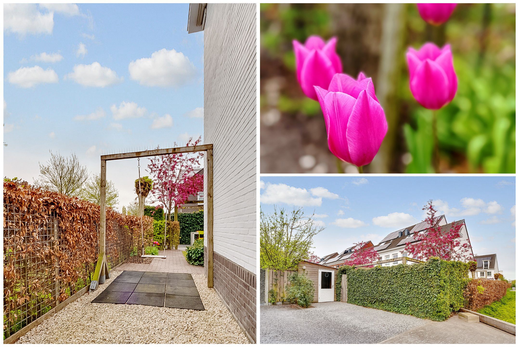 Photo 51 of De Vroonhof 1