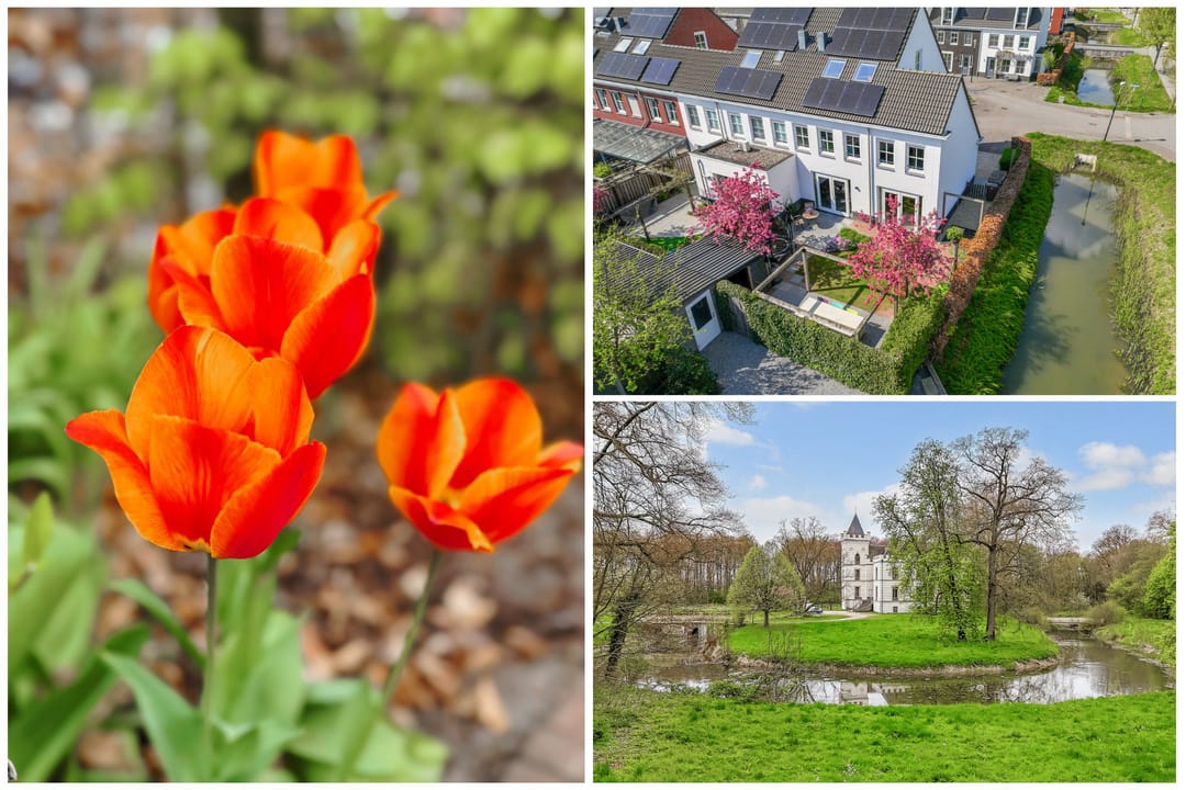 Photo 53 of De Vroonhof 1